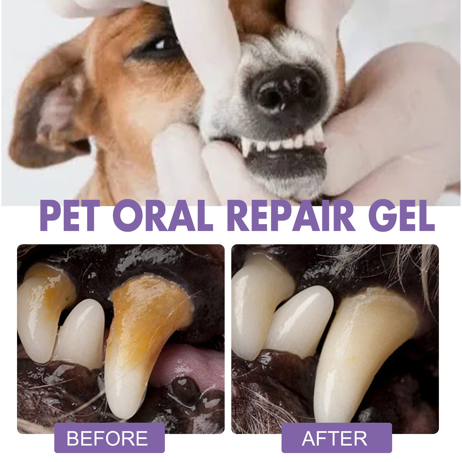 Pet Oral Repair Gel Welpen Zah – Teeth Whitening Q&M Bewertung und Preis
