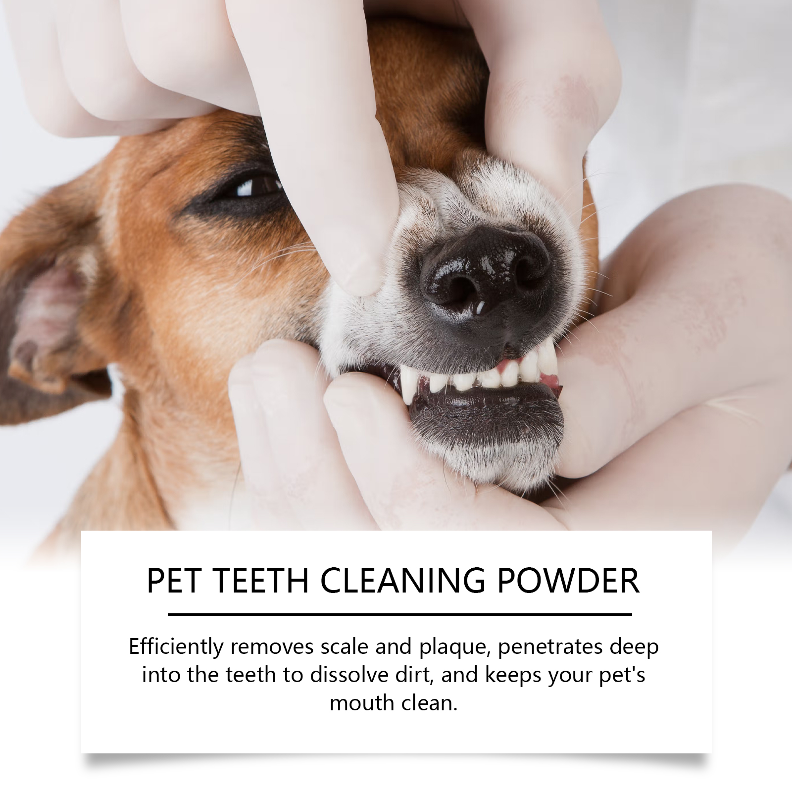 Haustier-Zähne-Reinigungspulve – Teeth Whitening Q&M Bewertung und Preis