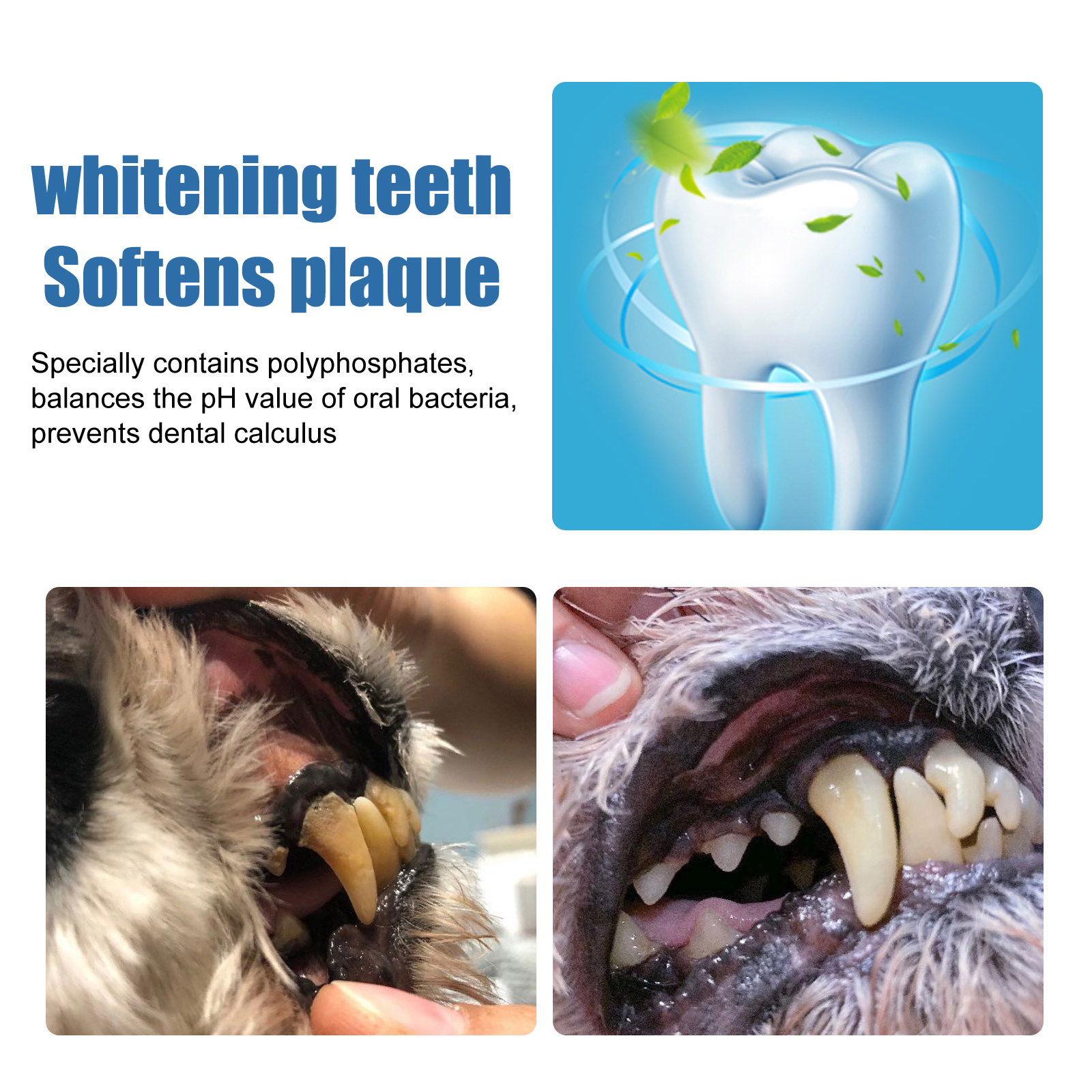 60ML Haustier-Zahnfleckenentfe – Teeth Whitening Promotion Bewertung und Preis