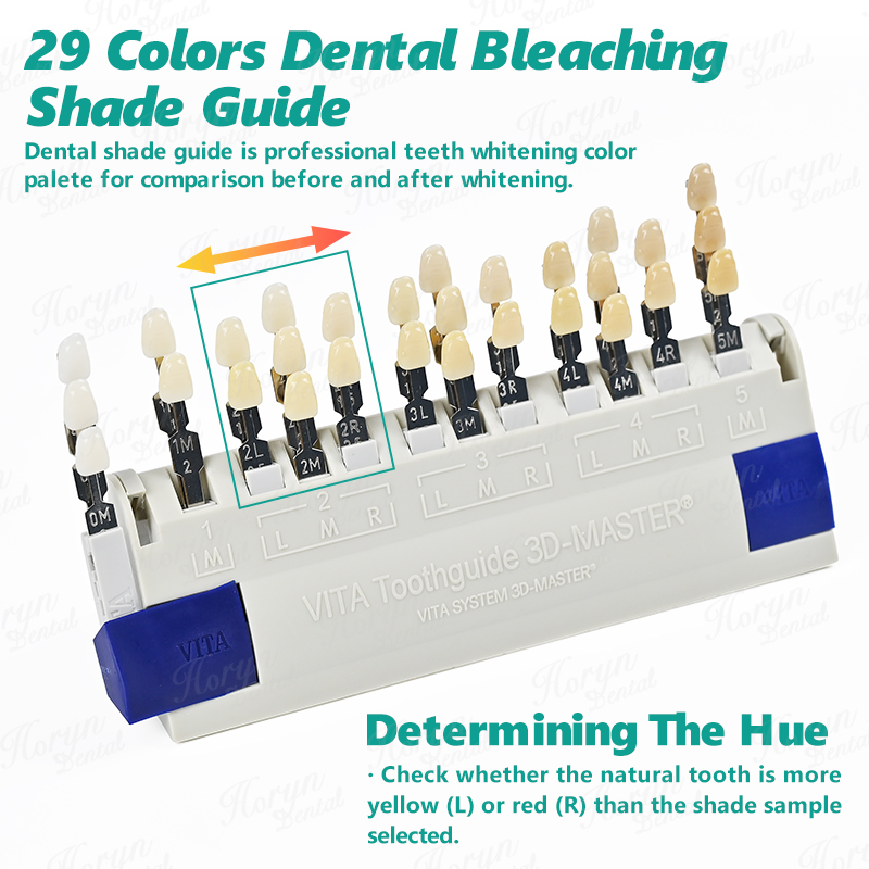 Vita 3D Master Dental Lab Blea – Teeth Whitening/Bleaching Bewertung und Preis